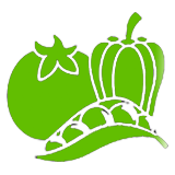 ພືດຜັກ